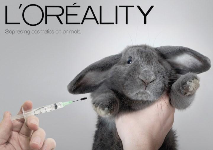 Avrupa'daki kozmetik ürünler hayvanlar üzerinde test ediliyor