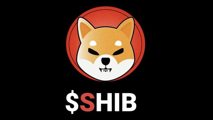 Ethereum kurucusunun SHIBA bağışı USDC’ye çevirildi