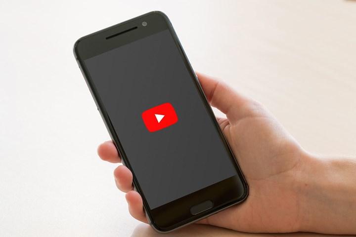 YouTube'a hayvan istismarı sebebiyle dava açıldı