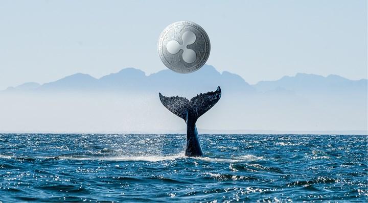 XRP balinaları 150 milyon dolarlık transfer gerçekleştirdi