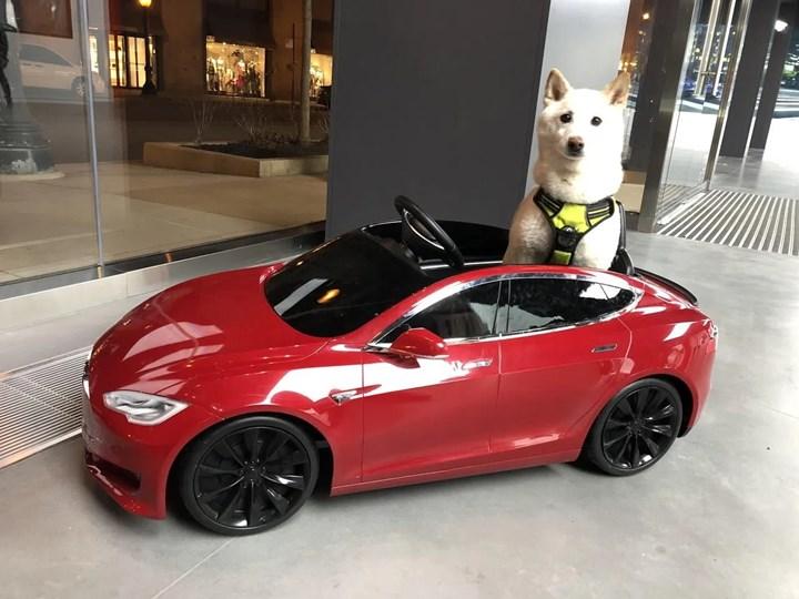 Elon Musk: 'Tesla, Dogecoin'i ödeme yöntemi olarak kabul edecek'
