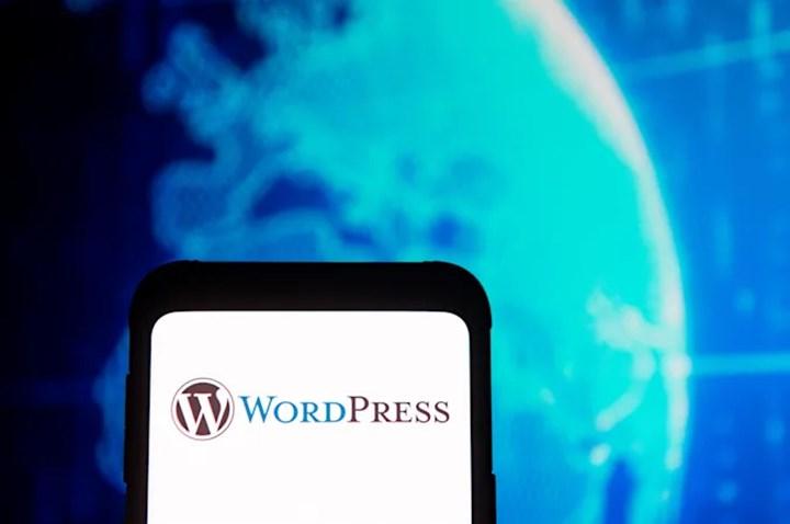 Milyonlarca WordPress sitesi, bir eklentideki güvenlik açığı için zorunlu güncelleme alıyor