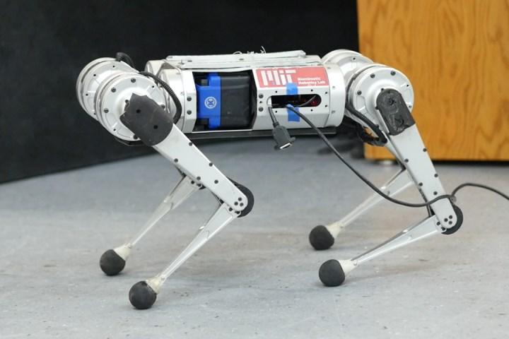 Robot çita yapay zeka ve simülasyonla rekor hıza ulaştı