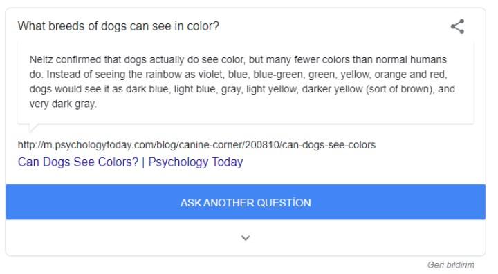 Google hilesi eğlenceli bilgi öğrenme