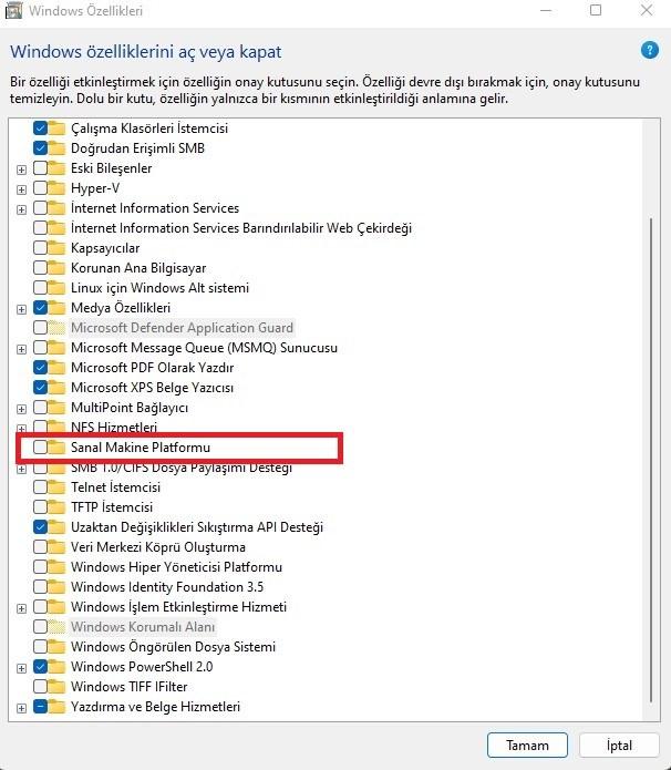 Windows 11 VMP kapatma