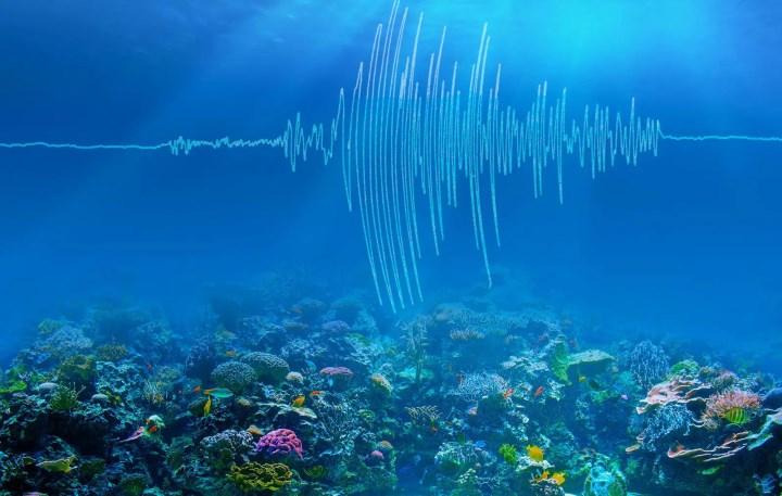 denizalti fiber optik kablolarla depremler tahmin edilebilir160451 0