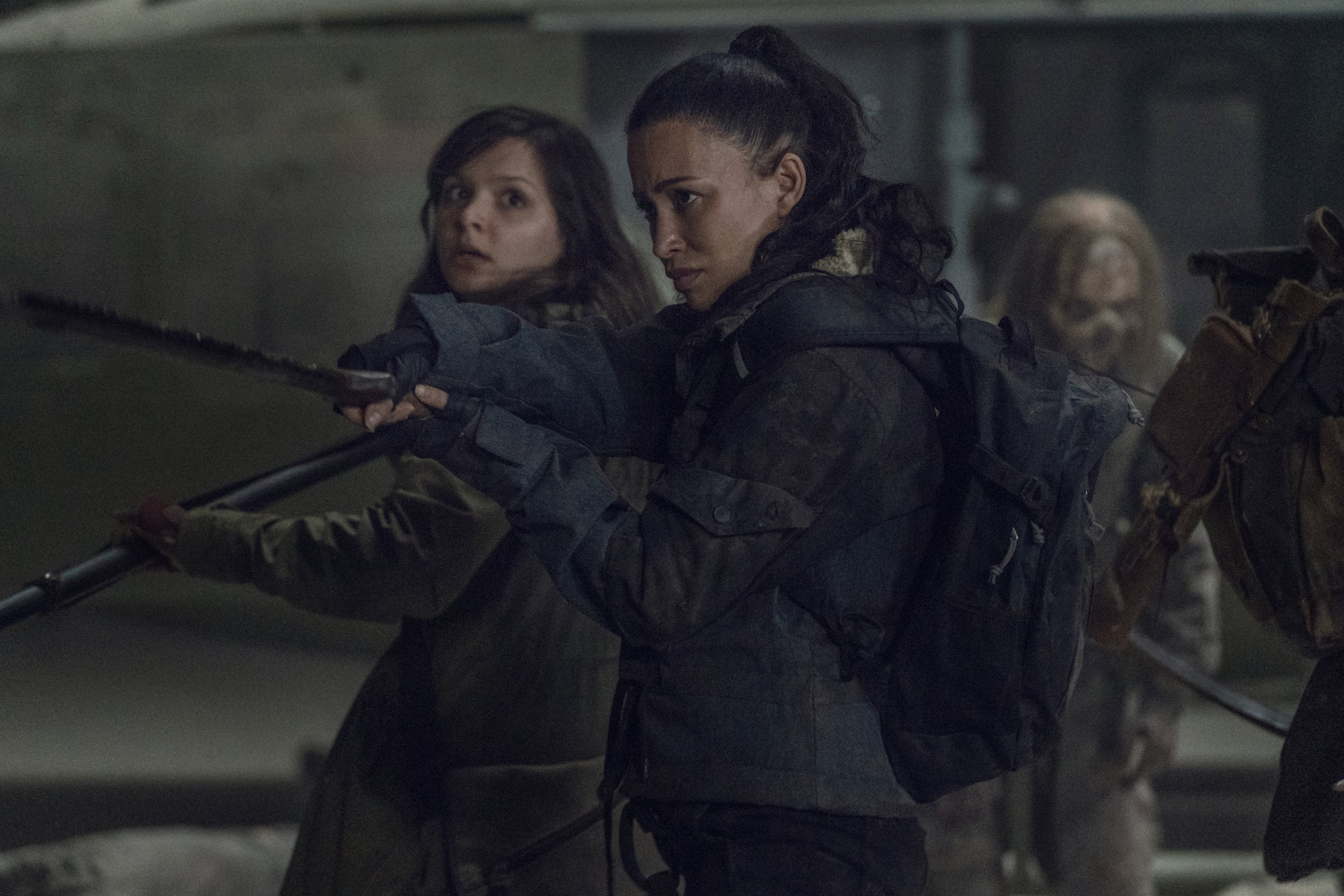 The Walking Dead final sezonu