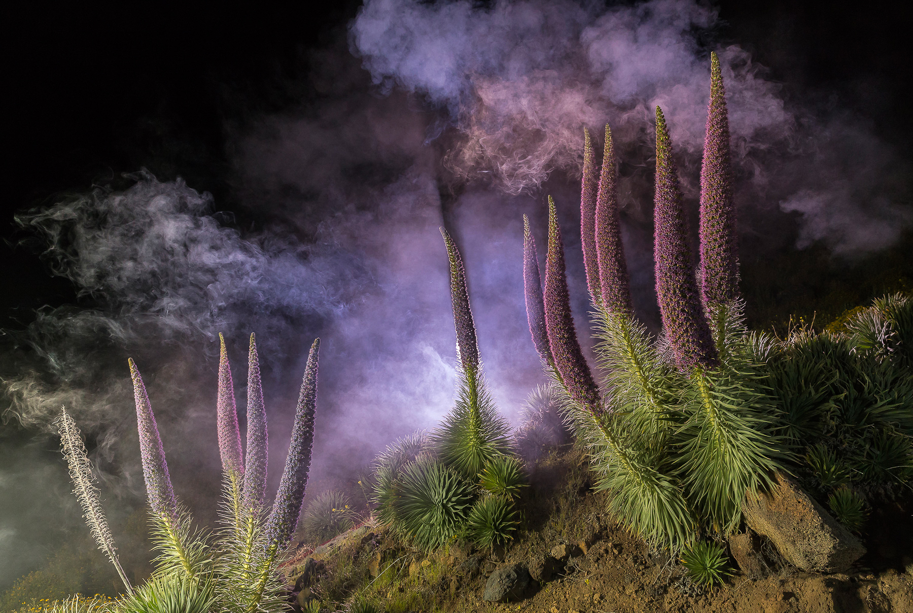 Canarian Photo Awards 2023