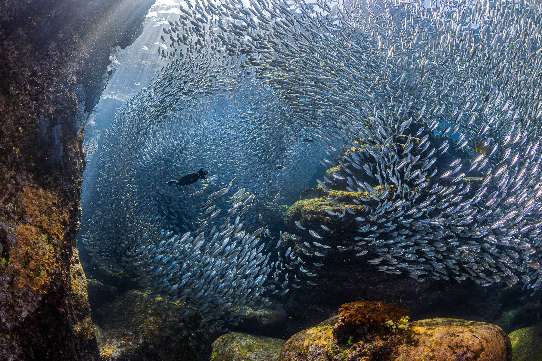 Canarian Photo Awards 2023