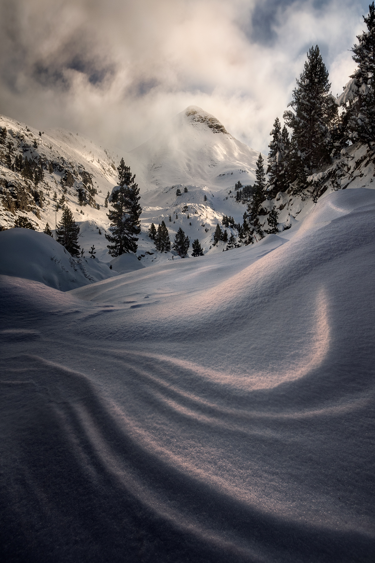 Canarian Photo Awards 2023