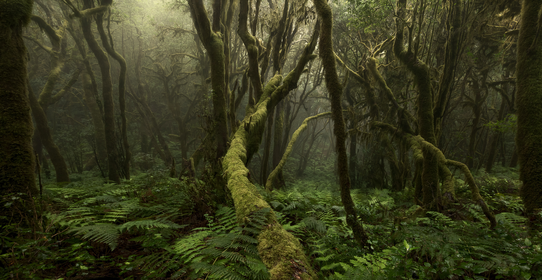 Canarian Photo Awards 2023