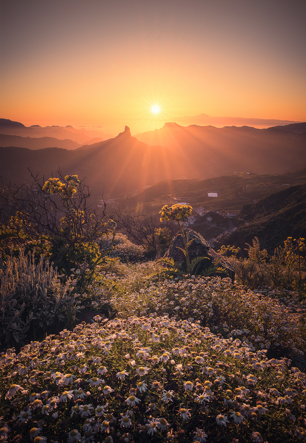 Canarian Photo Awards 2023