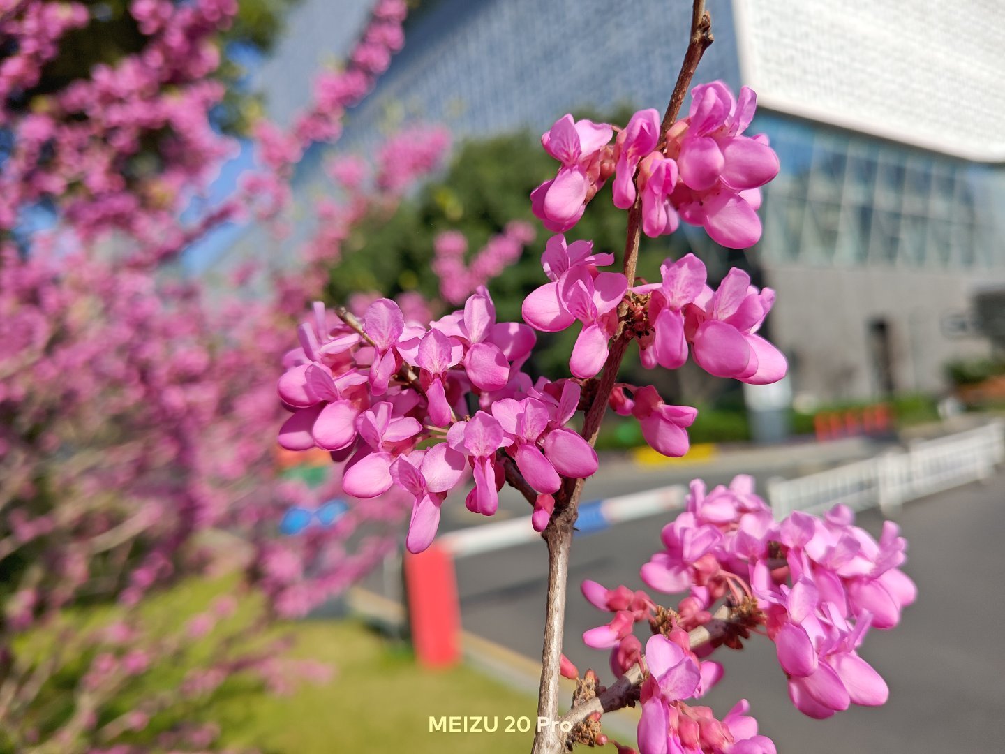 Meizu 20 Pro kamera örnekleri