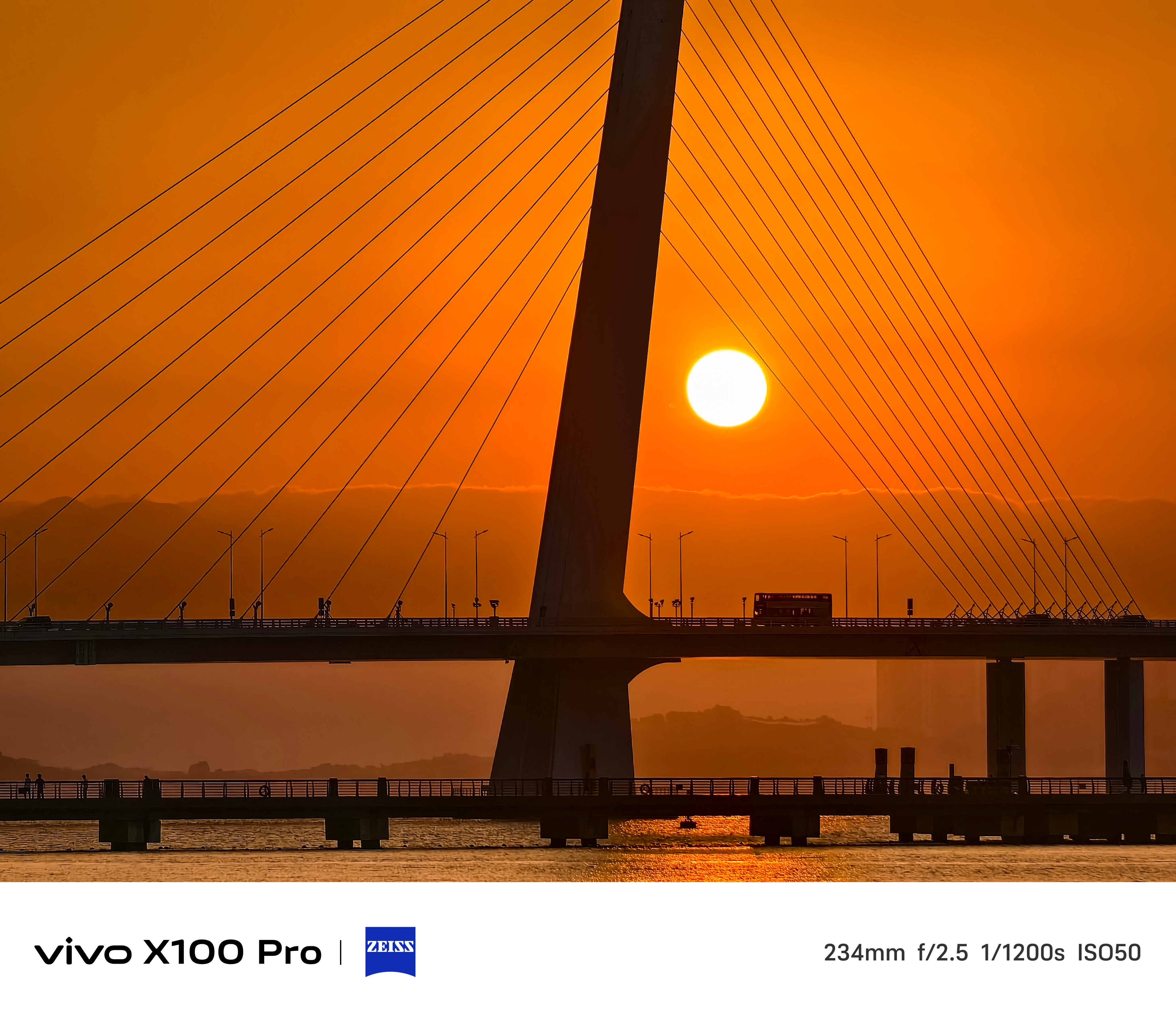 Vivo X100