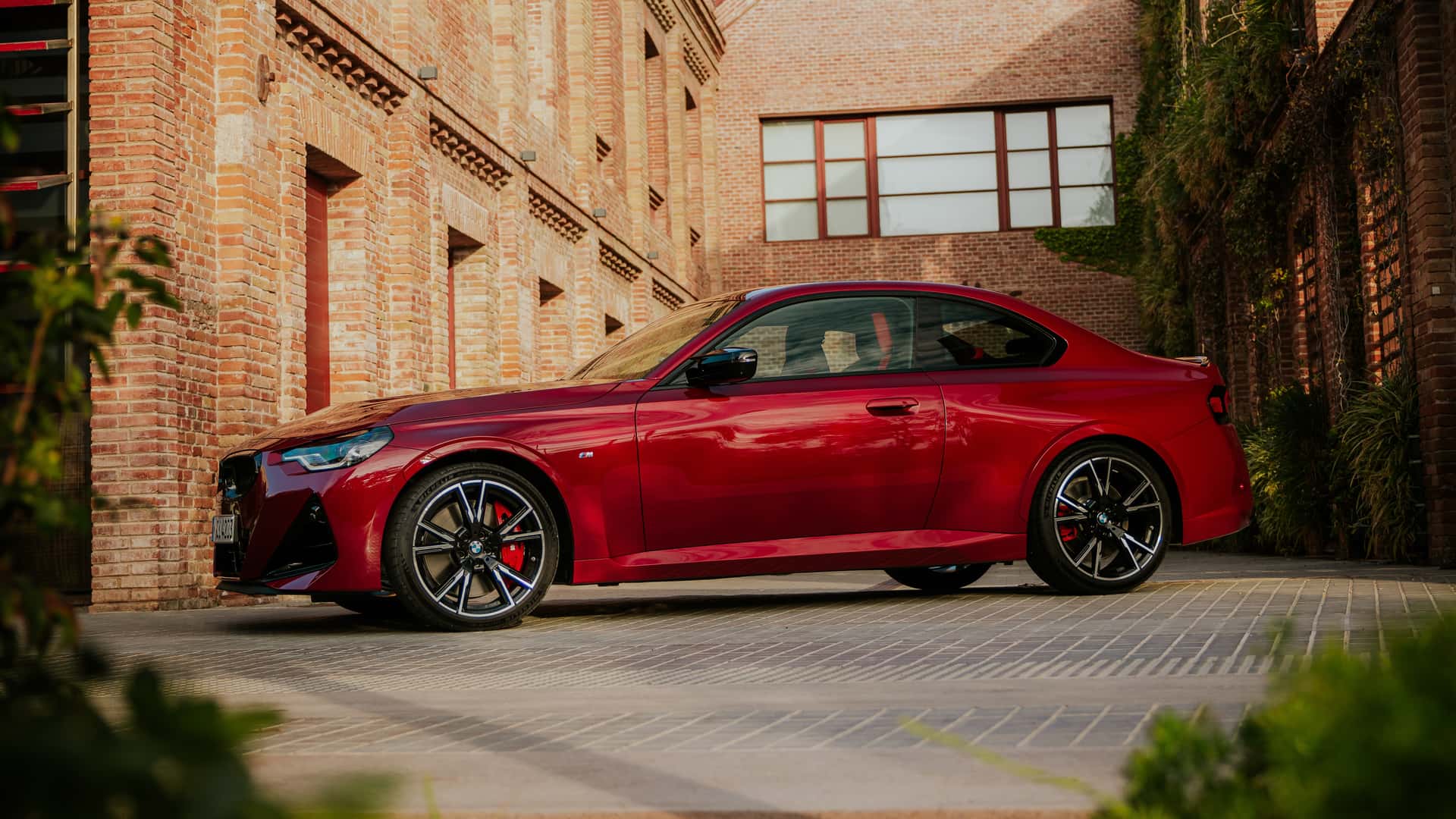 2025 BMW 2 Serisi Coupe