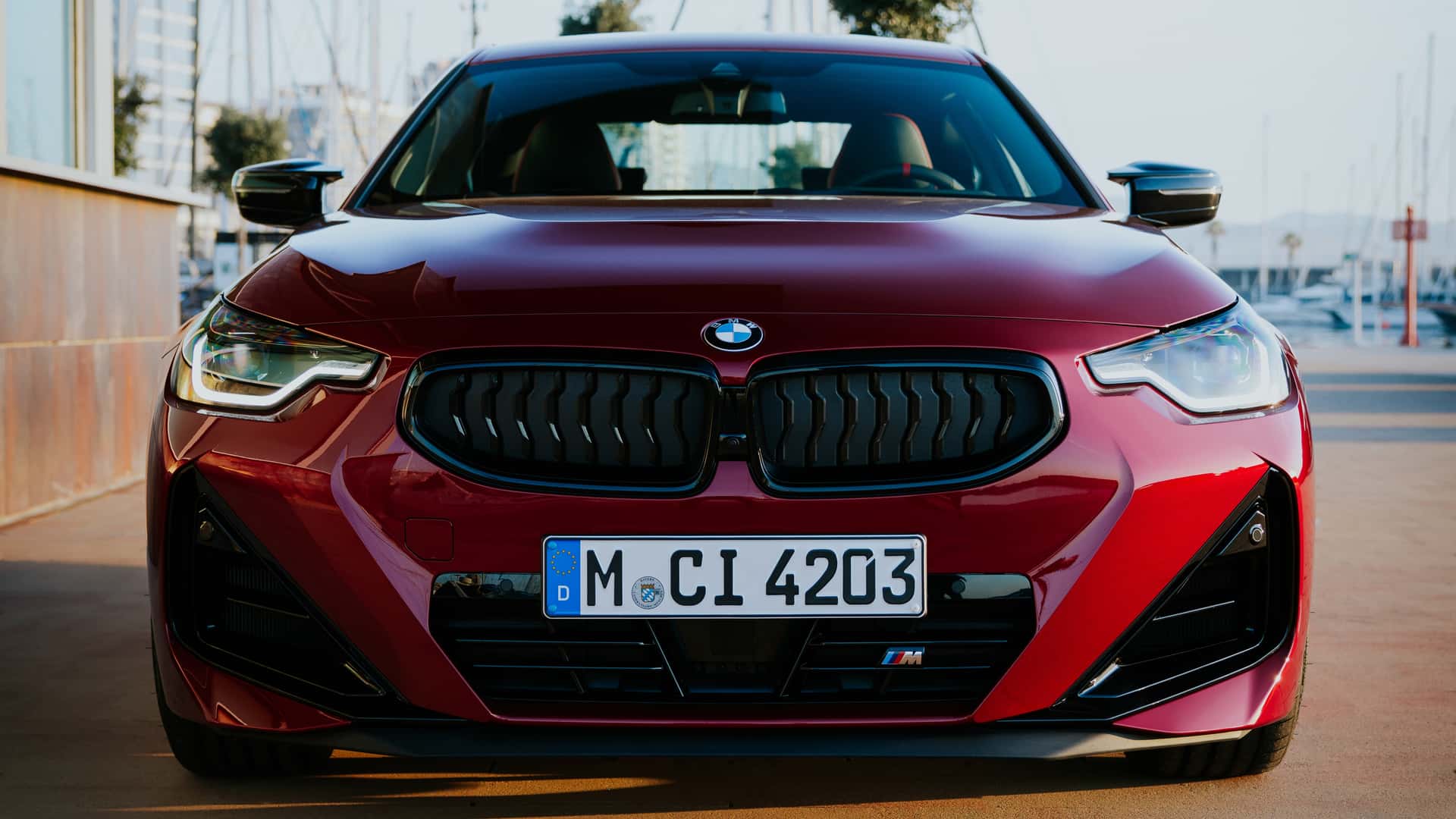 2025 BMW 2 Serisi Coupe