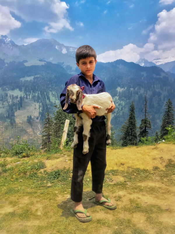 iPhone fotoğrafçılık ödülleri