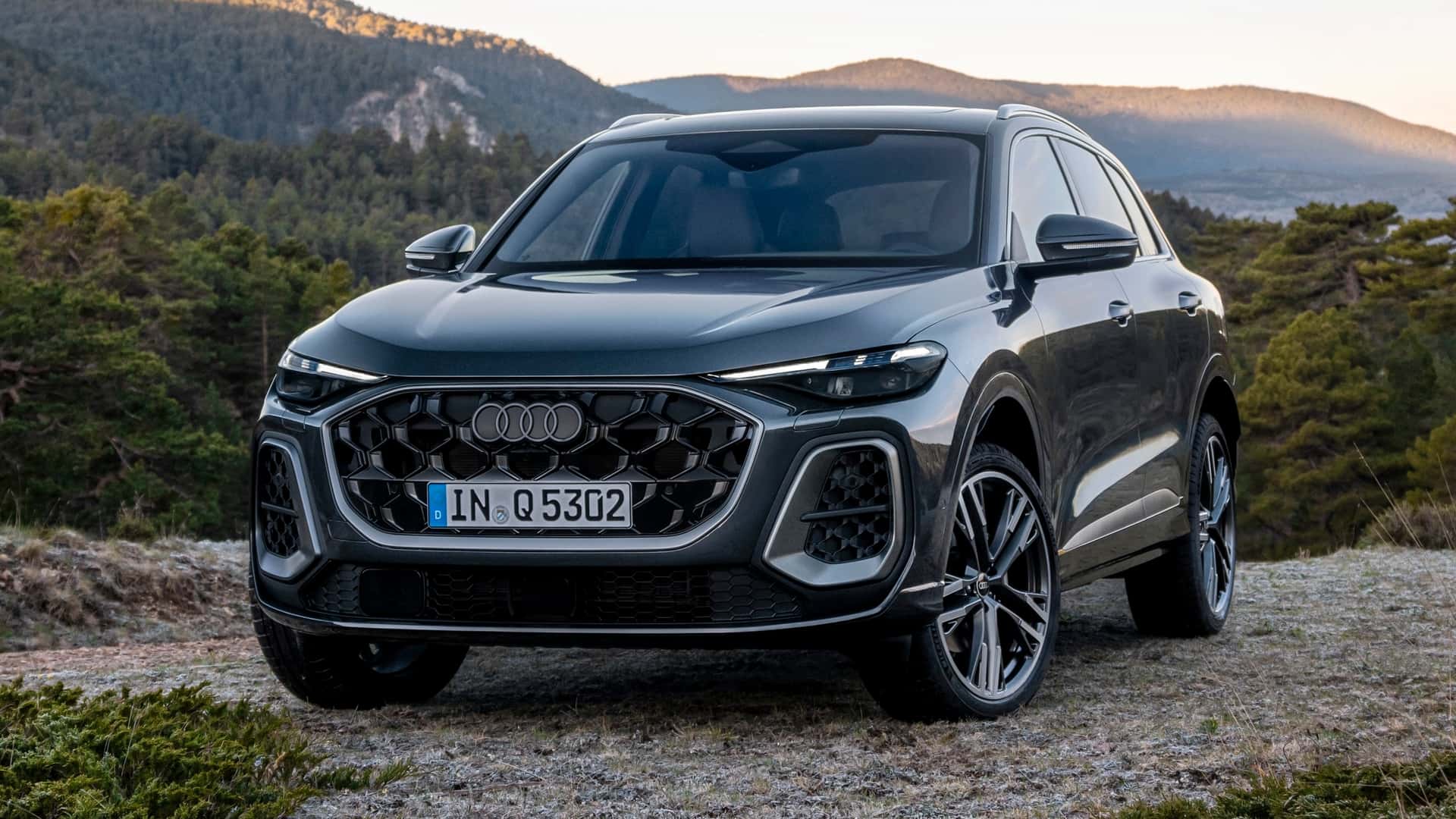 2025 Audi Q5