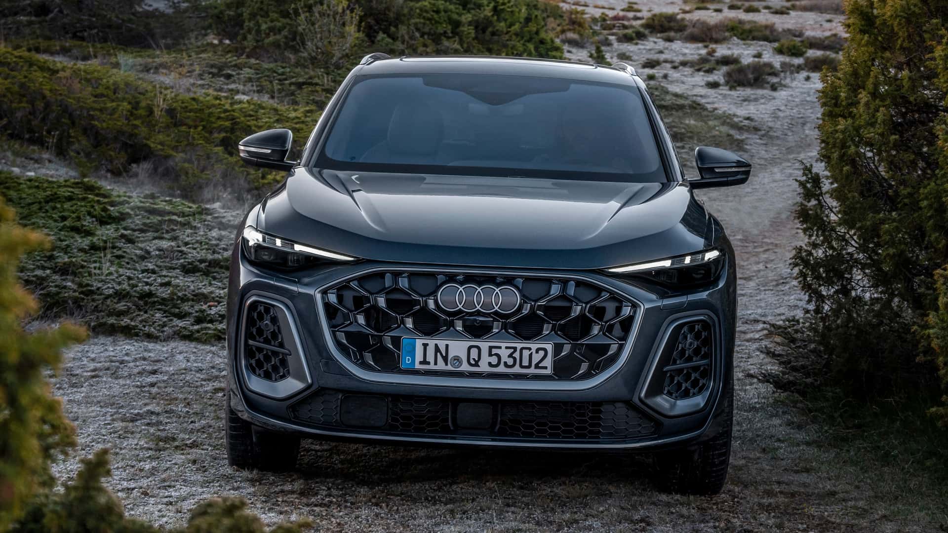 2025 Audi Q5