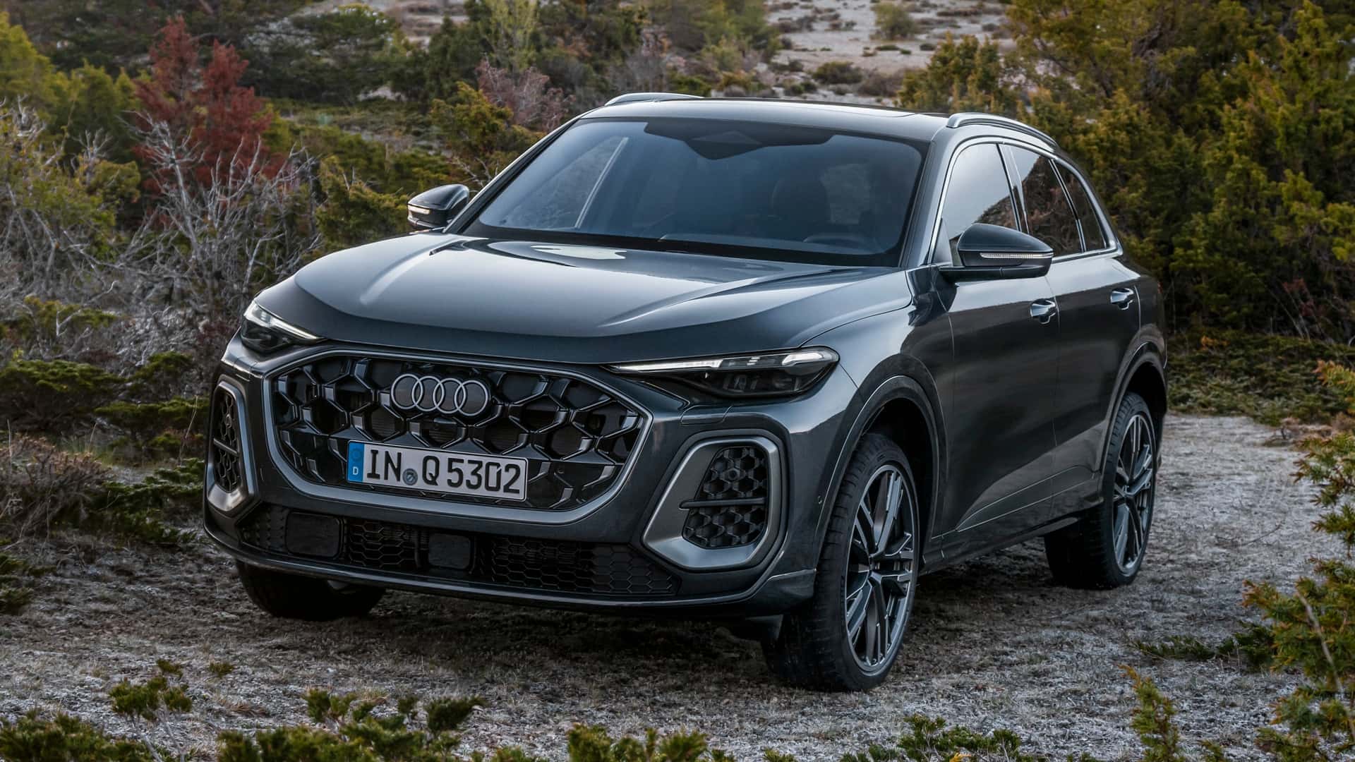 2025 Audi Q5