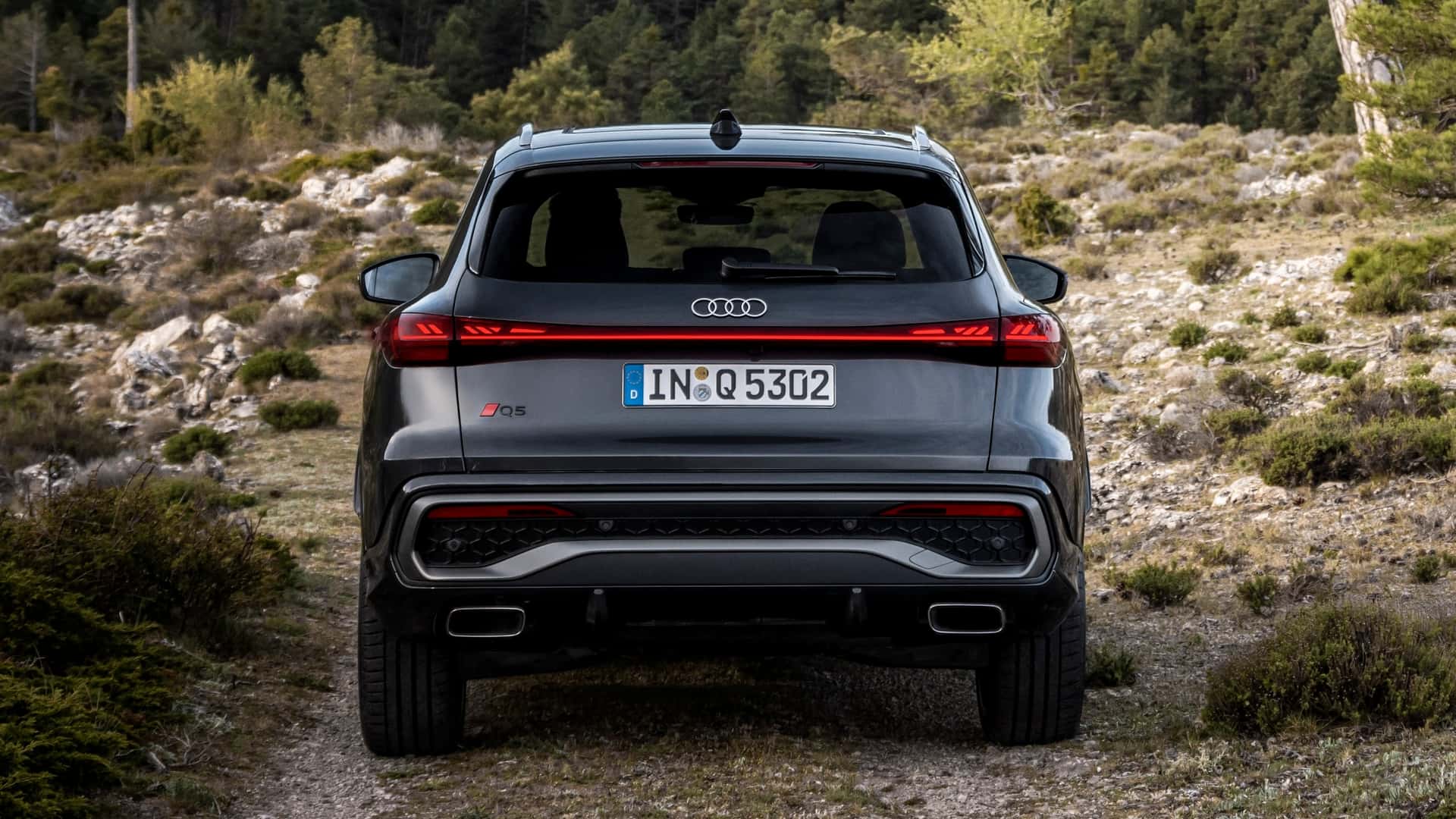 2025 Audi Q5