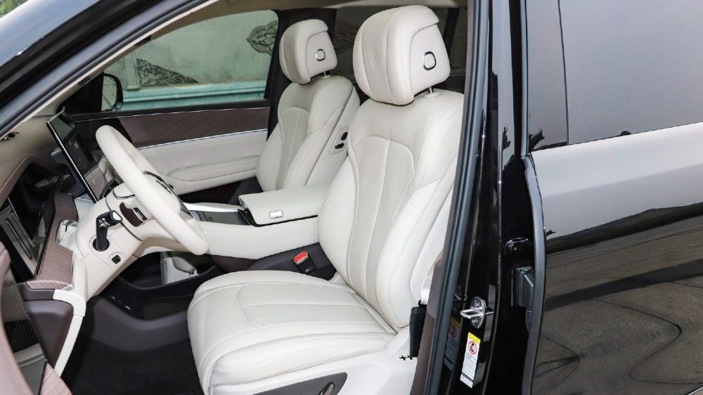 2025 BYD Denza N9