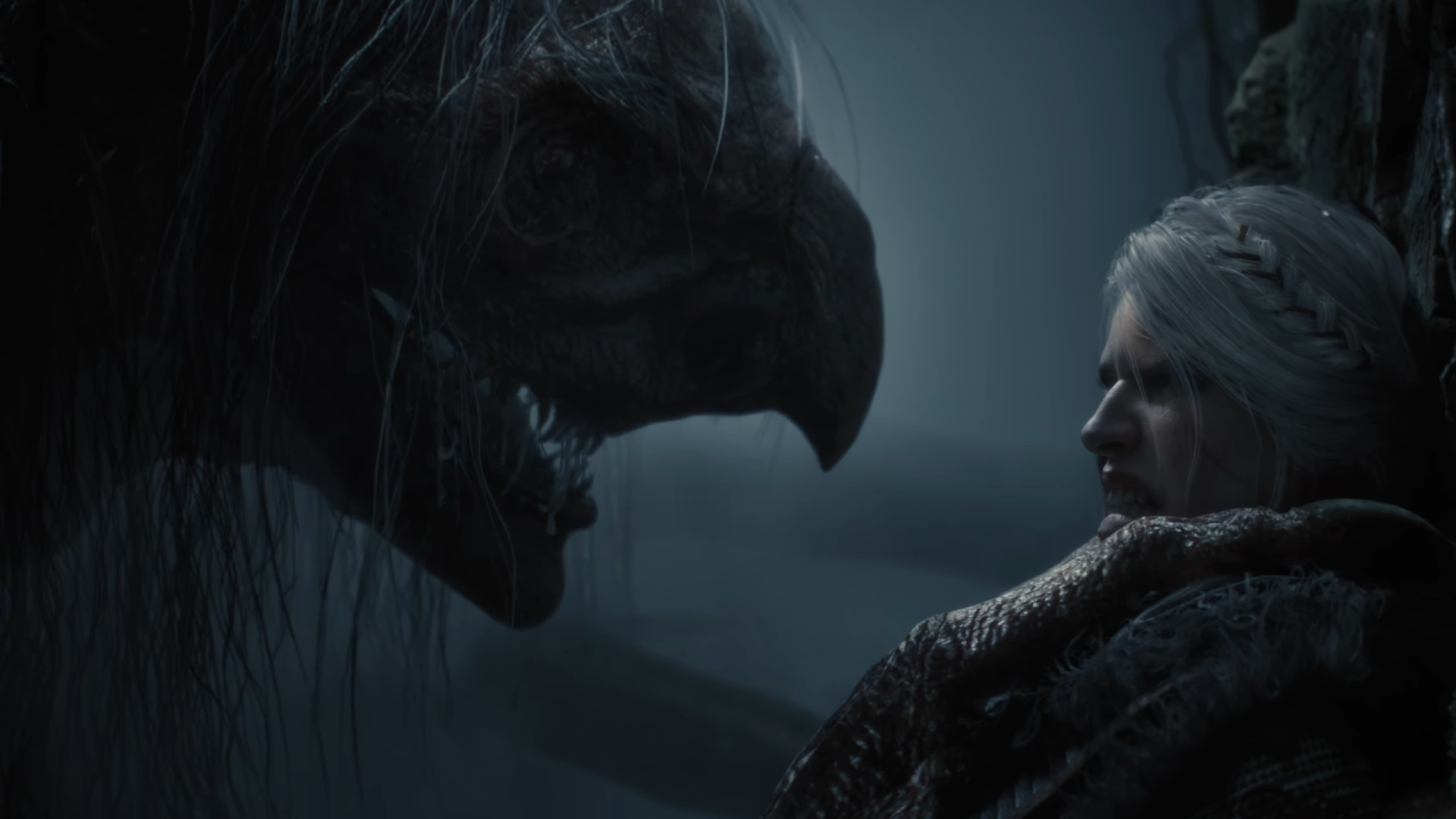The Witcher 4