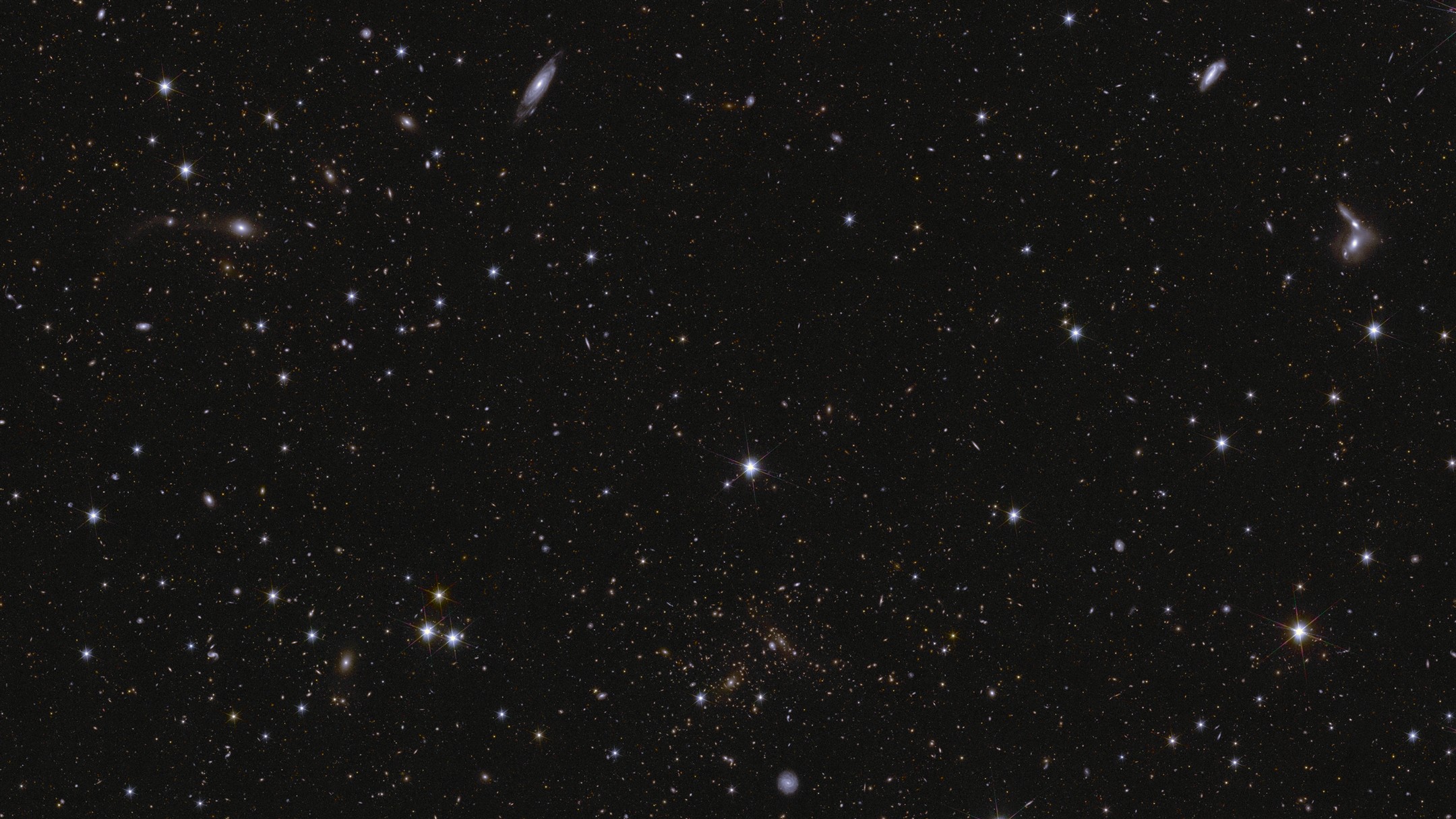 Euclid'in galaksi görselleri