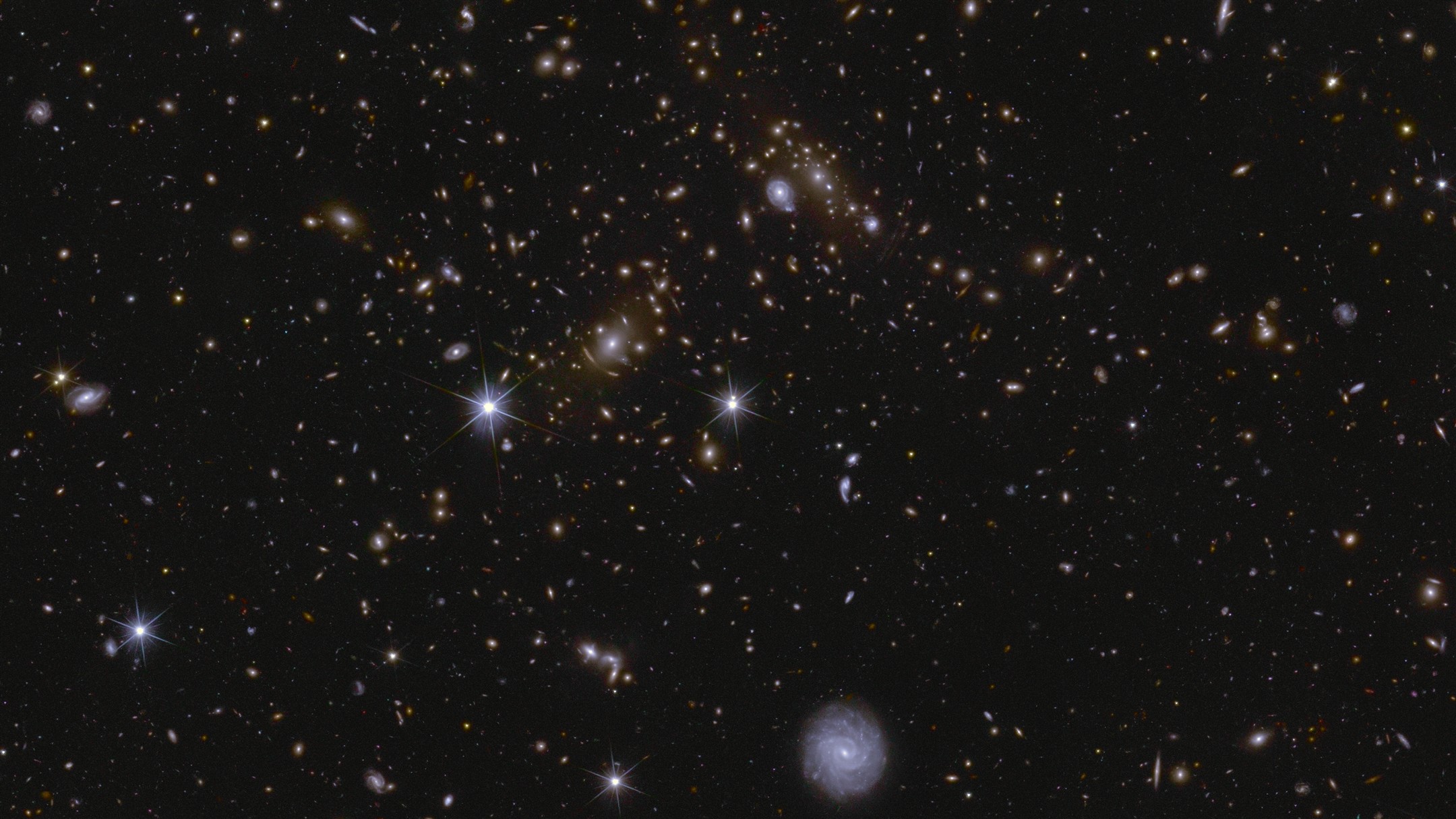 Euclid'in galaksi görselleri