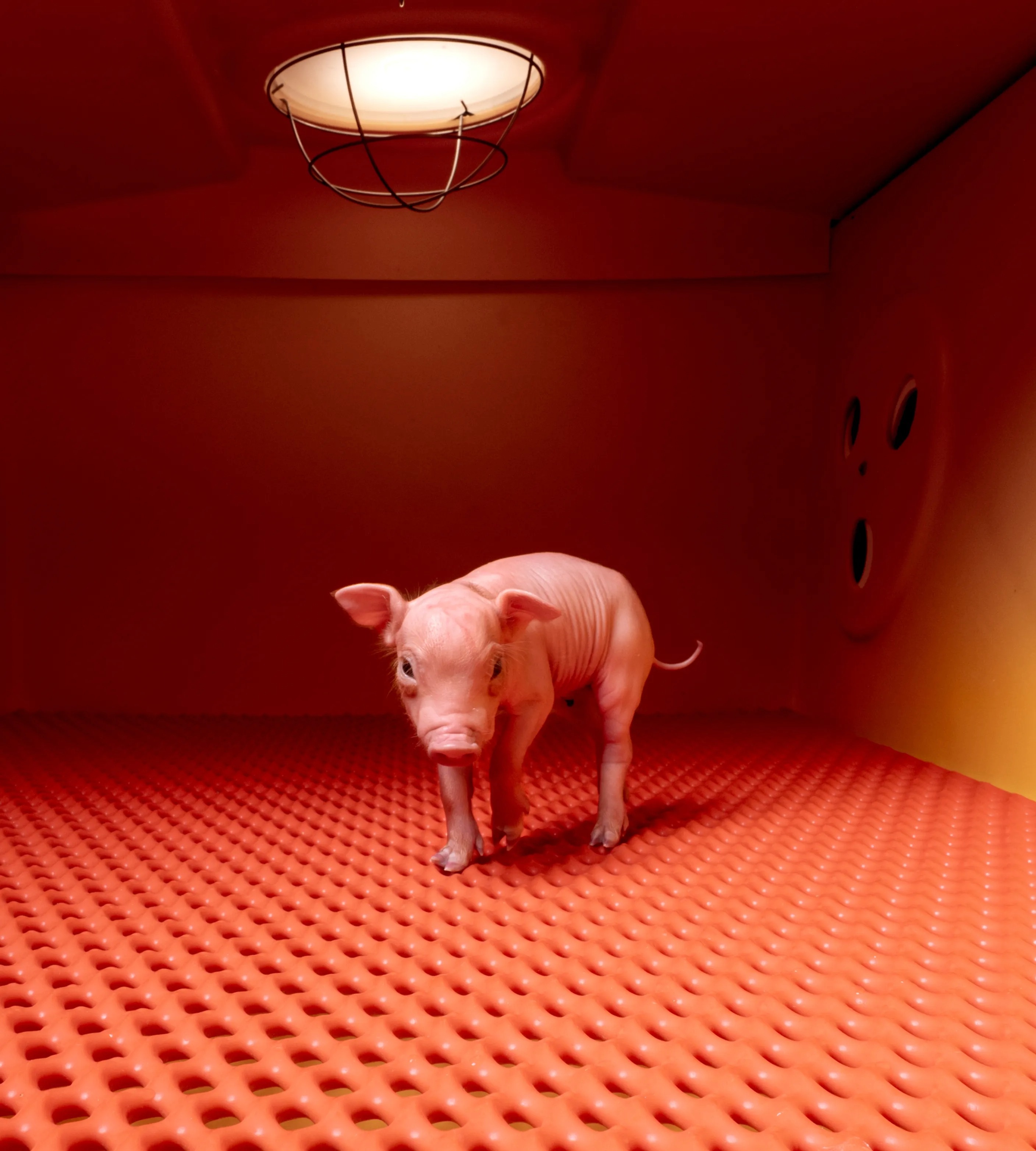 2025'in en iyi fotoğrafları