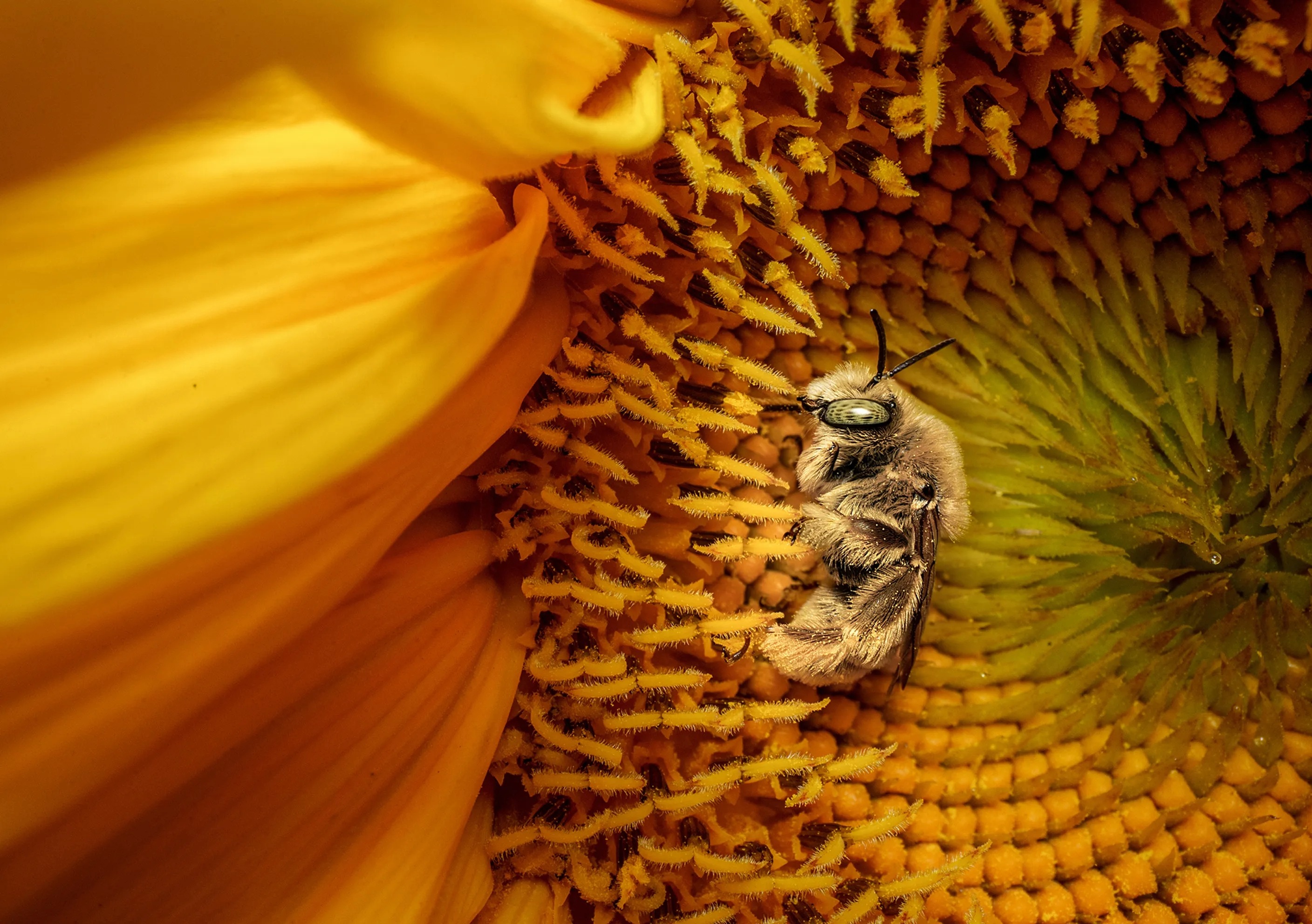 2025'in en iyi fotoğrafları