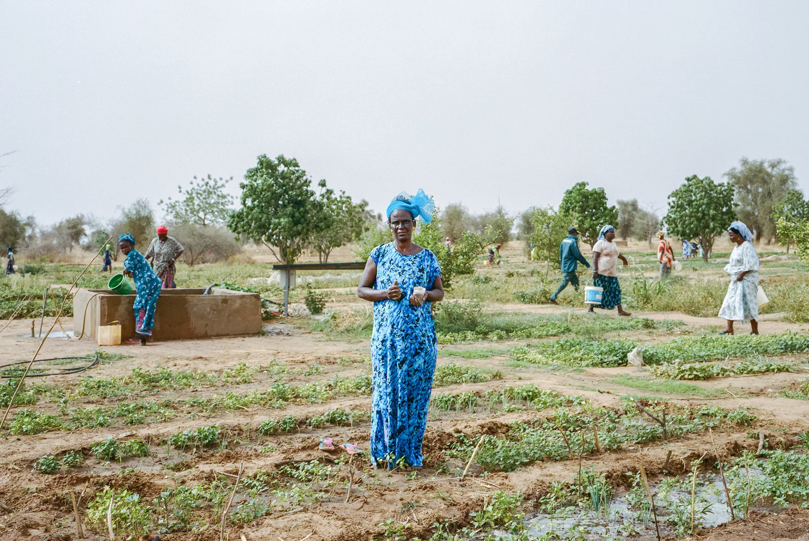 2025'in en iyi fotoğrafları