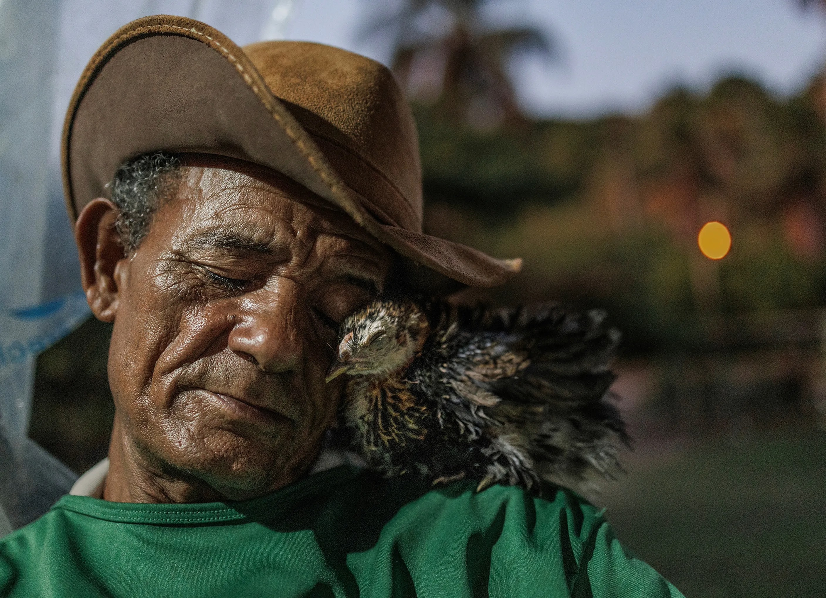 2025'in en iyi fotoğrafları