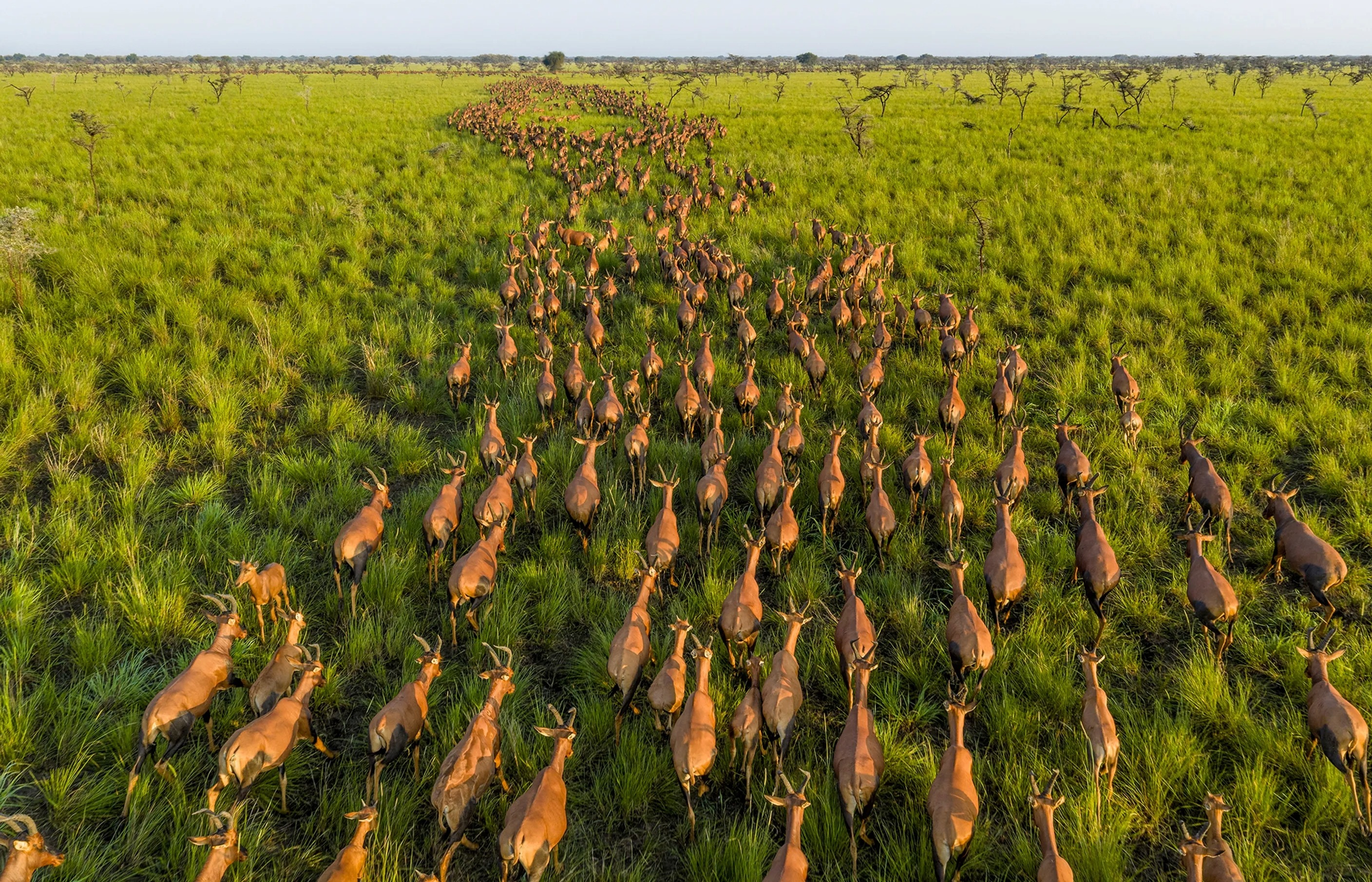 2025'in en iyi fotoğrafları