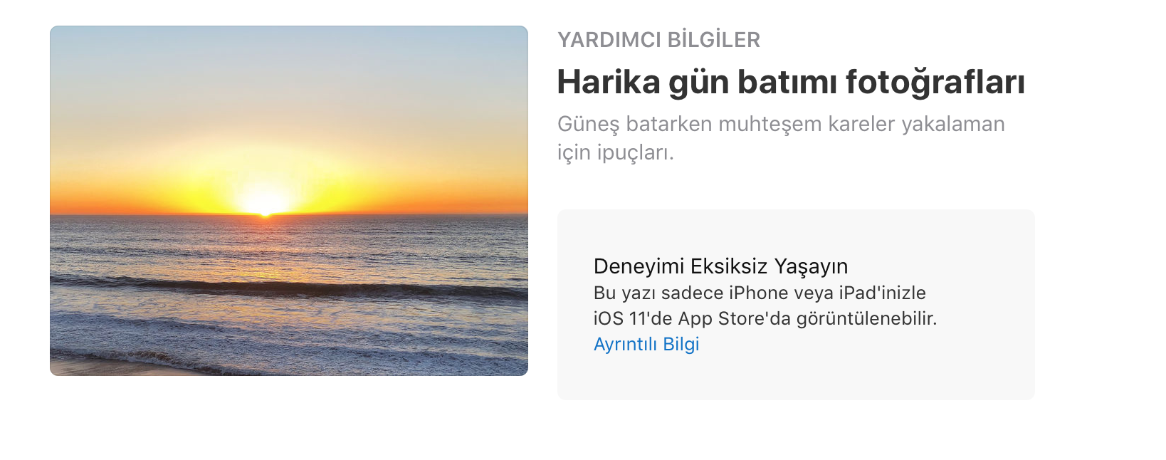 App Store’da gün batımı fotoğrafları için özel bölüm