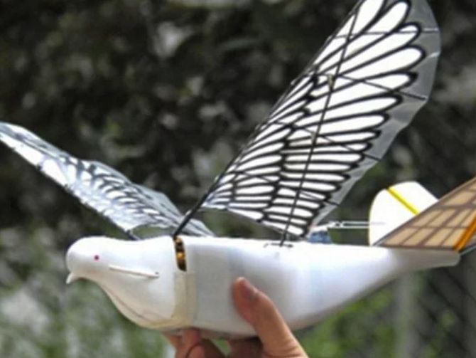 Çin hükümeti güvercine benzeyen drone'larla vatandaşları takip ediyor
