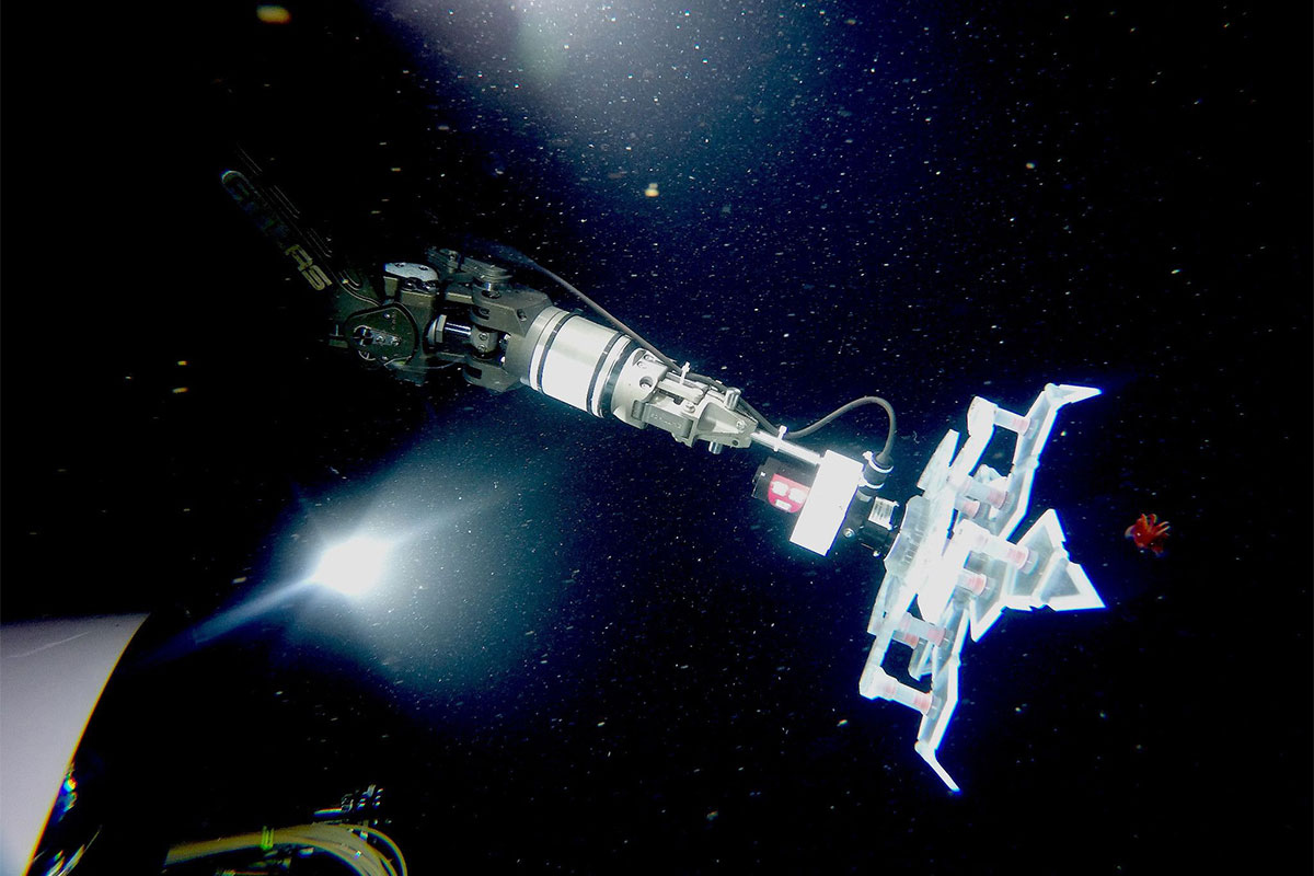 Derin deniz yumuşakçalarını yakalaması için robot kol geliştirildi