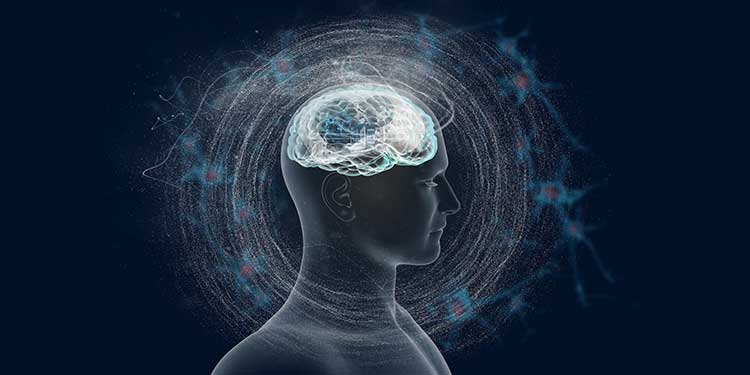 Beynimizdeki dev nöronlar algılarımızı nasıl etkiliyor?
