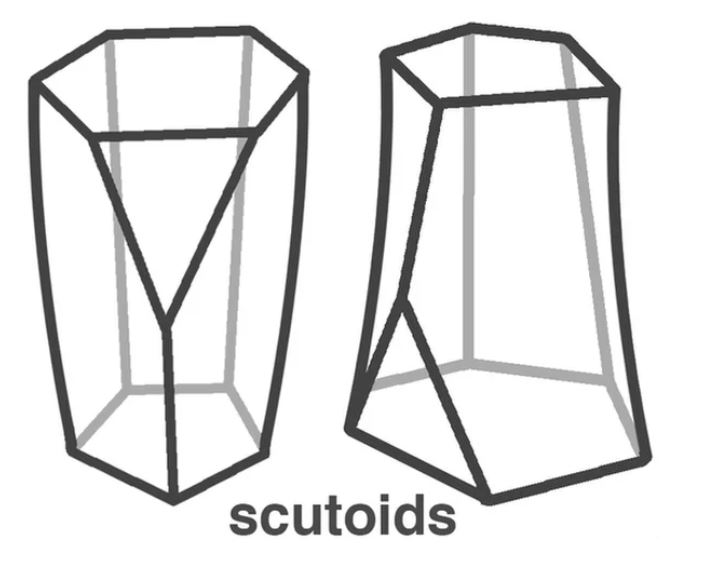 Yeni geometrik şekille tanışın: Scutoid