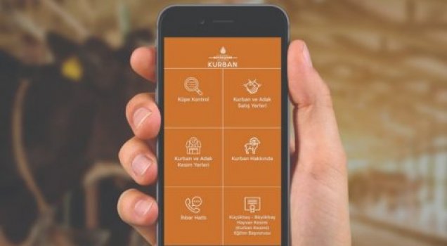 İBB’nin mobil Kurban uygulaması kullanıcıyla buluştu