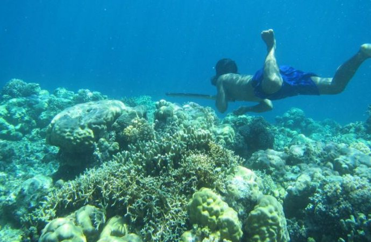 İnsan evriminin günümüzdeki etkileyici örneklerinden biri: Endonezya'daki Bajau halkı