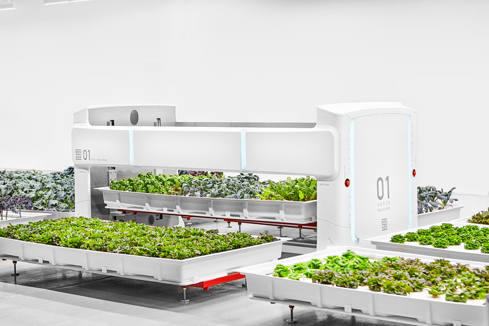 Robotların çalıştığı otonom çiftlik sebze üretmeye başladı