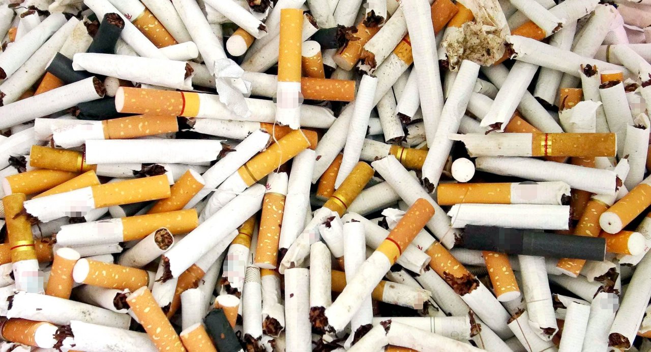 Dünya Sağlık Örgütü, sigara fiyatının artırılmasını istiyor