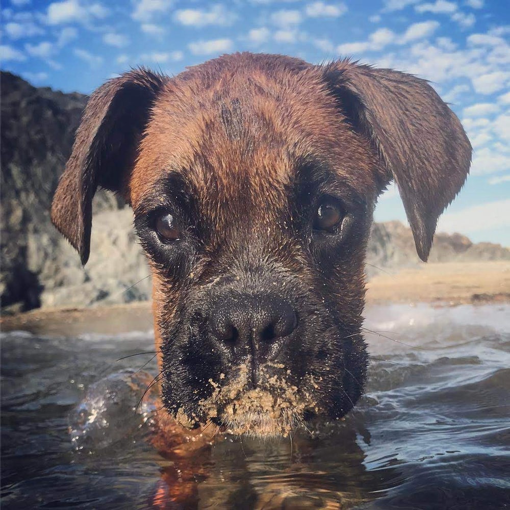 Instagram fotoğraf yarışmasının kazananı belli oldu