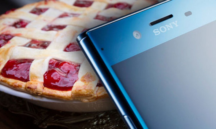 Sony, Android 9 Pie güncelleme takvimini resmen açıkladı