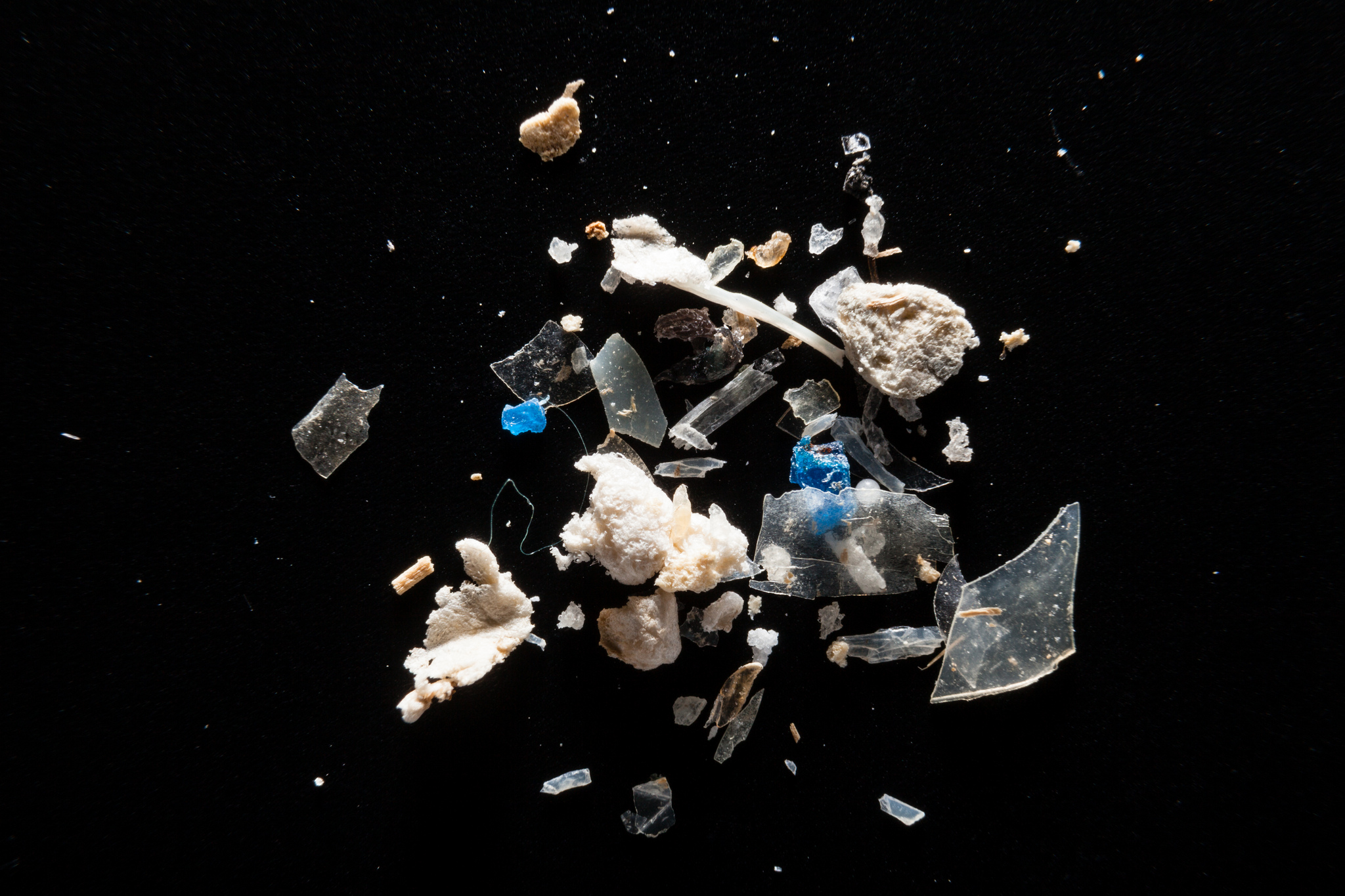 Sindirim sistemimiz küçük plastik parçalarla dolu olabilir