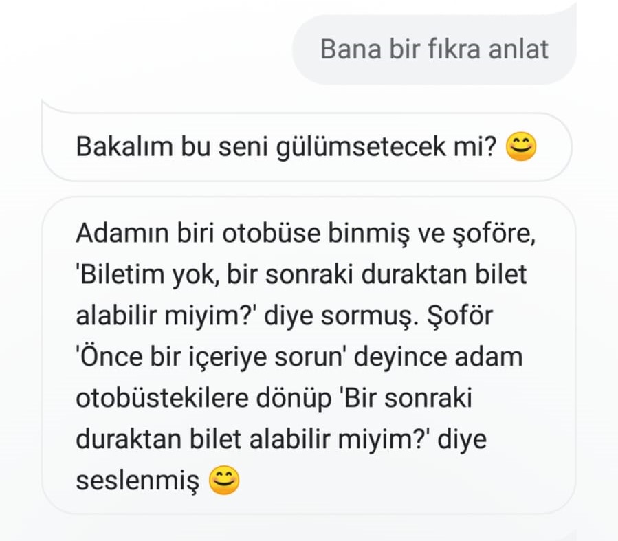 Türkçe Google Asistan ile neler yapılabilecek?