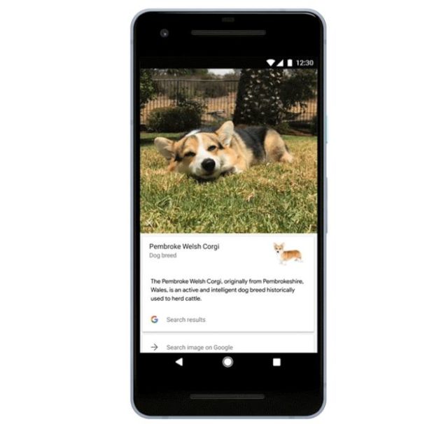 iOS'taki Google uygulamasına, Google Lens desteği geldi