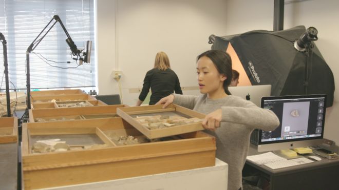 Dijital müze fikri, herkesin milyonlarca fosile ulaşmasını sağlayabilir