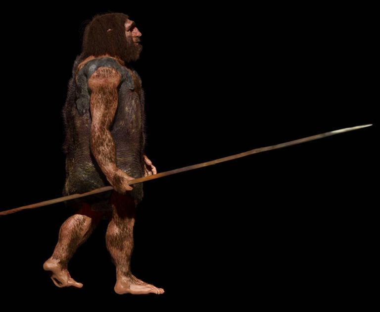 'Neandertaller avlarını uzak mesafaden de öldürebiliyordu'